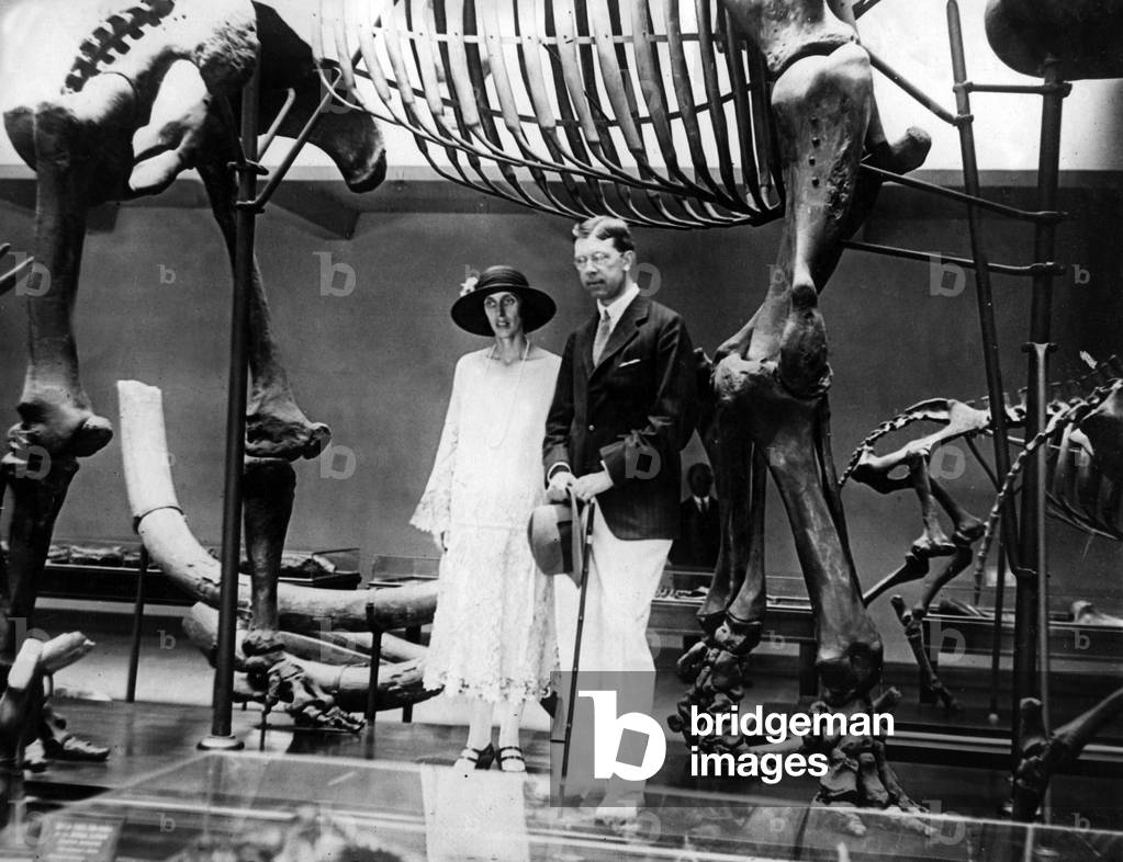 Gustaf Adolf de Suede