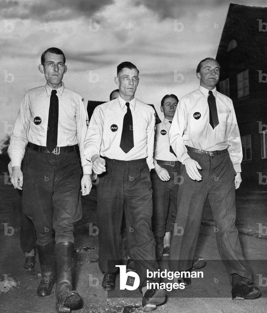 Youth group of the Deutsche Reichspartei, 1950 (b/w photo)