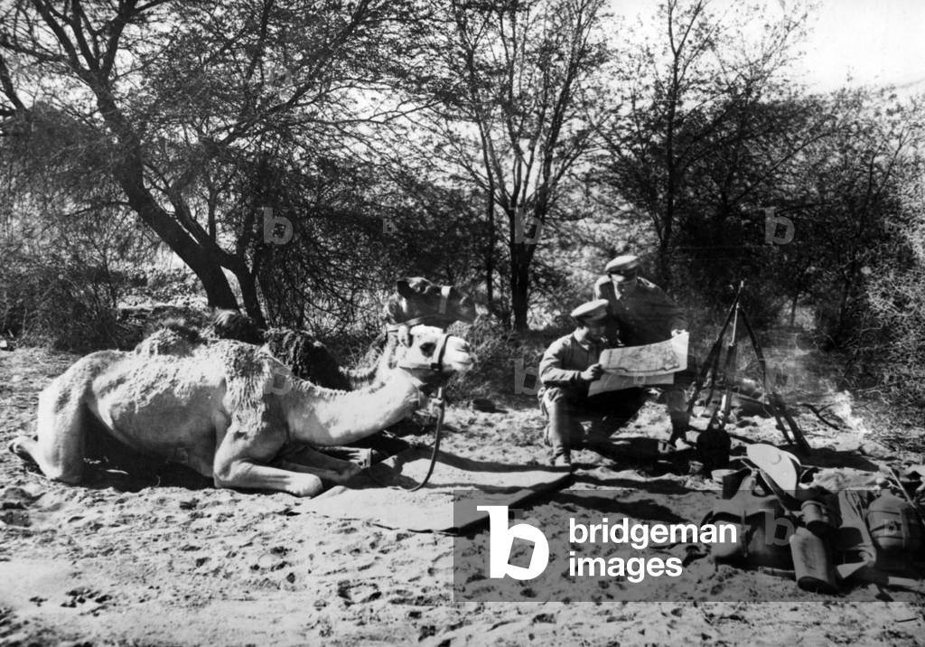 Kamelreiter in German South-West Africa in World War I  (b/w photo)
