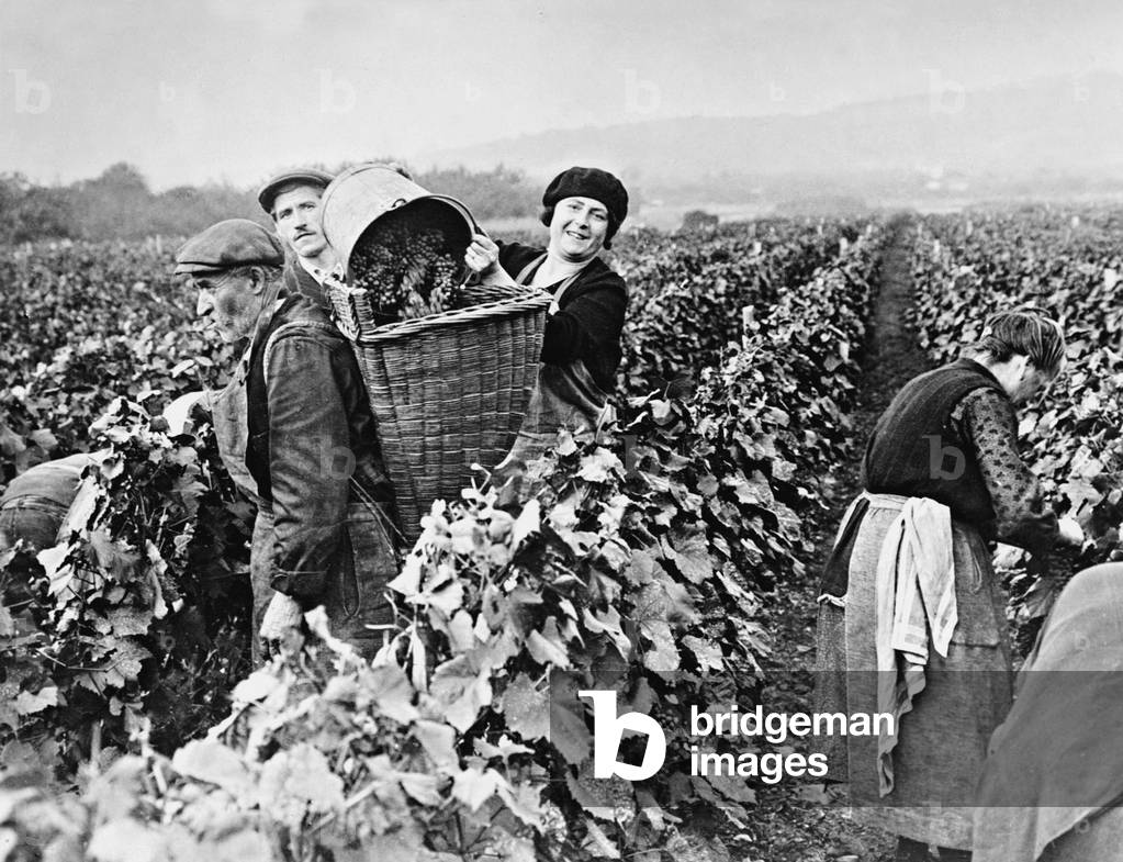 Vintage near Paris, 1930 (b/w photo)