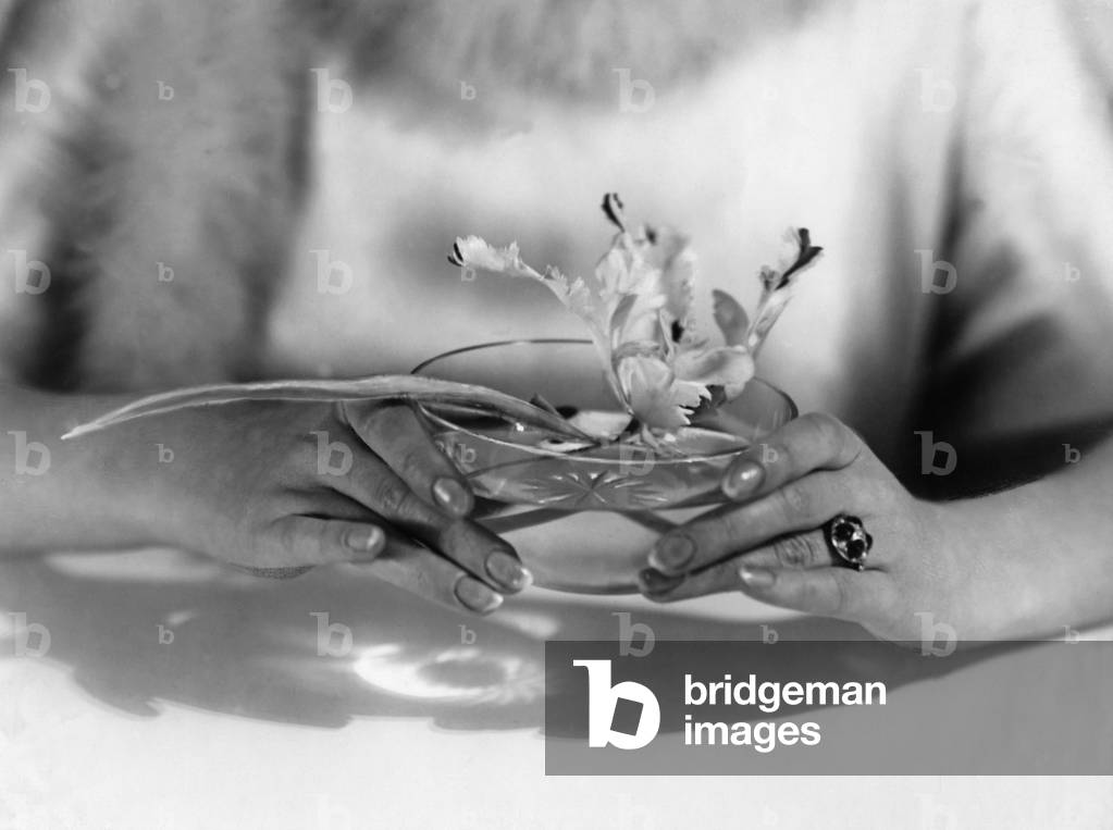Women´s hands  (b/w photo)