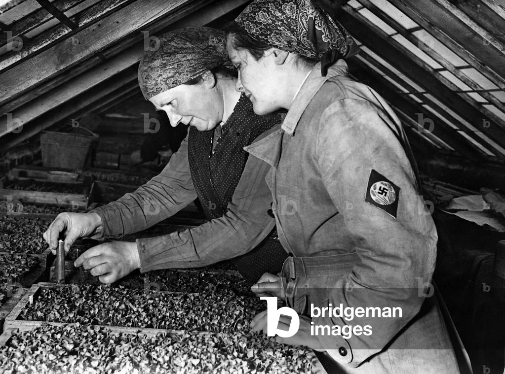 Female member of the Reich Labour Service [Reichsarbeitsdienst, RAD] works at the farmer's, 1937 (b/w photo)