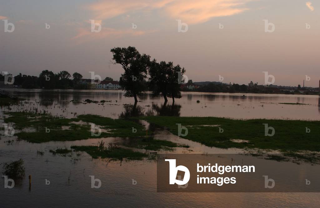 Flooded polder areas near Magdeburg (photo)