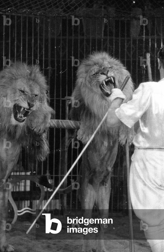 Circus program with predators, 1954 (b/w photo)