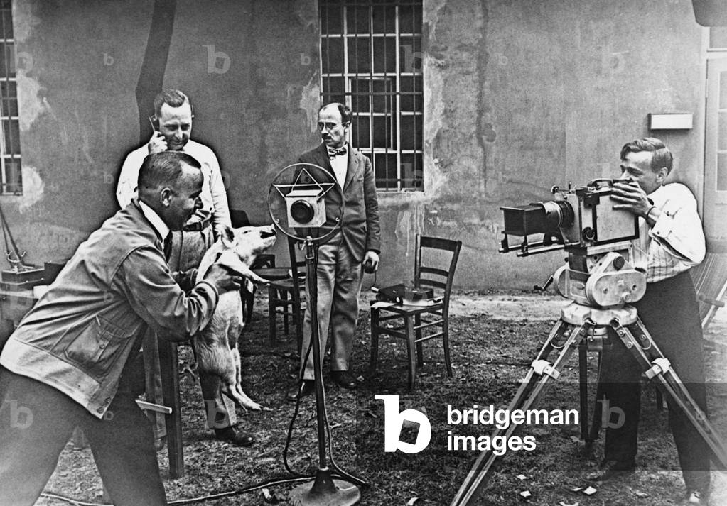 Piglet as a sound film actor, 1929