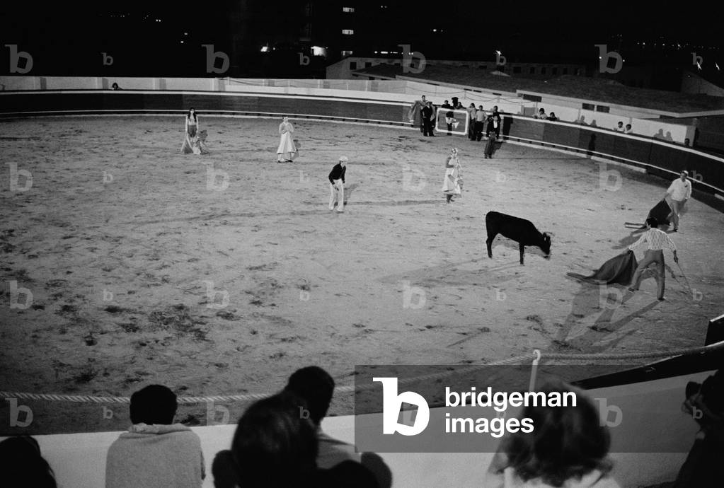 Bullfight (b/w photo)