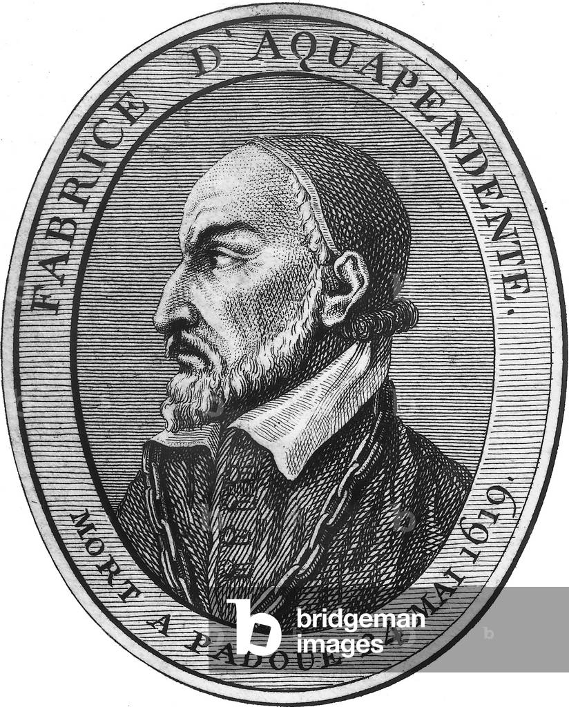 Fabrice d'Aquapendente (1537-1619) surgeon and anatomist, teaching in Padoue, engraving