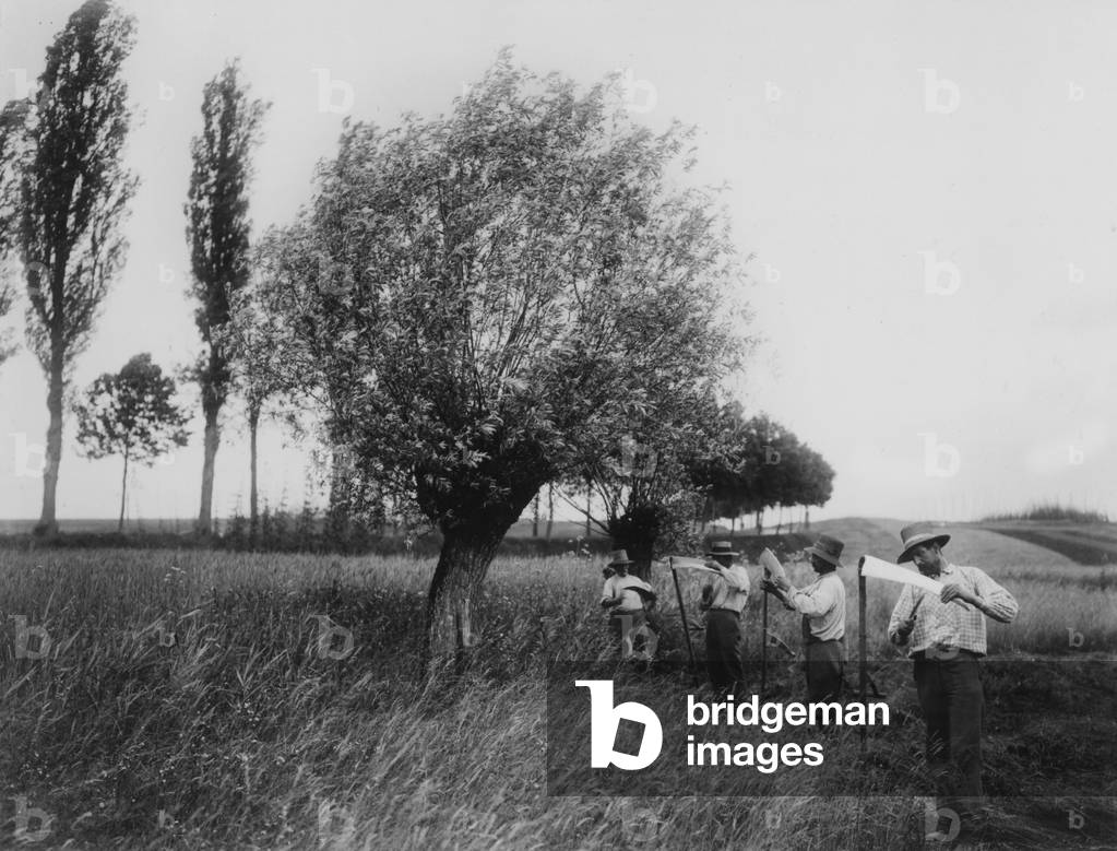 haymaking in Wickersheim in Alsace in 1905