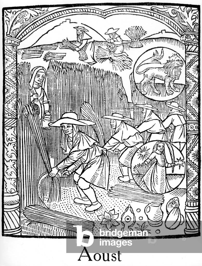 zodiac signs : Leo and Virgo (august) : harvest, engraving form the calendar of sheperds, 1529