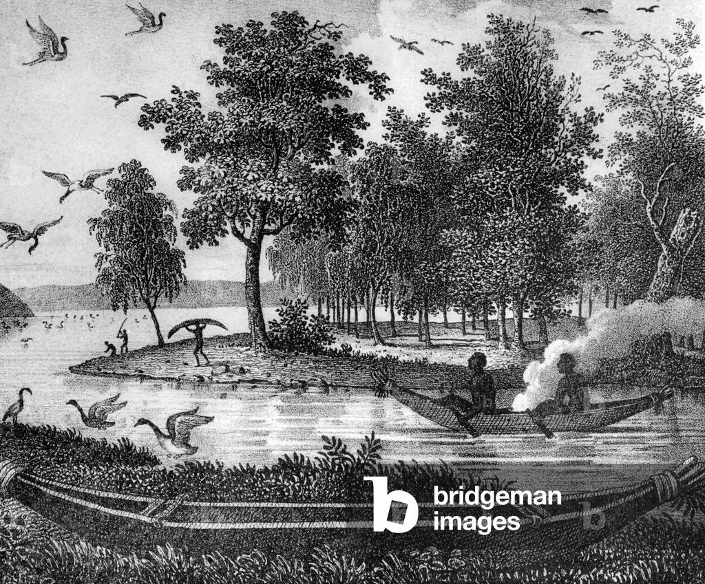 Landscape in New Zealand, engraving, 19th century