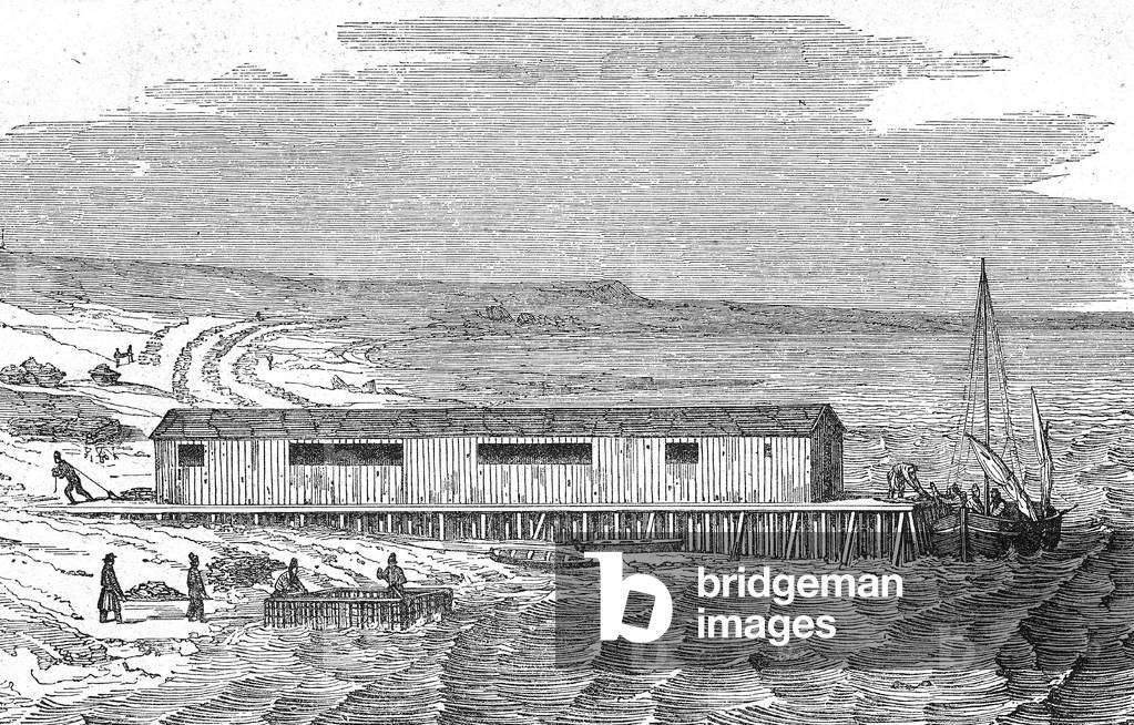 fish factory in Newfoundland, 1860, engraving