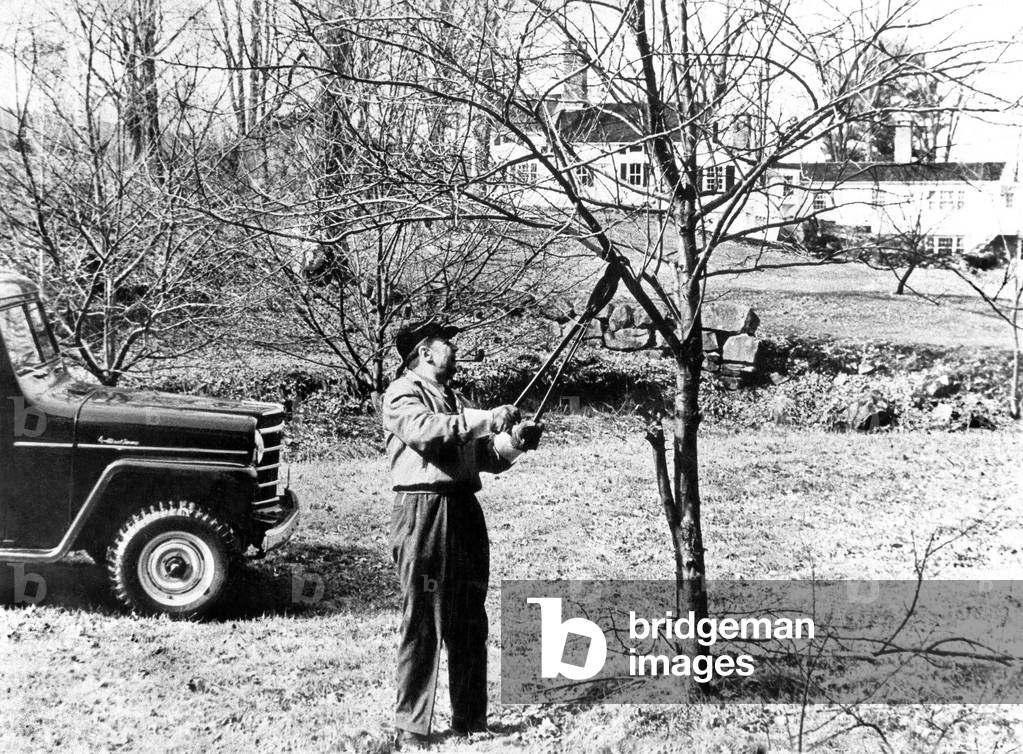 French writer Georges Simenon at Shadow Rock Farm, Lakeville, Connecticut, USA, where he lived in 1950-1955