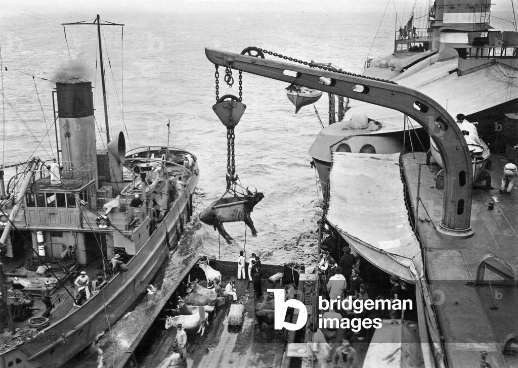 Boarding of a bullock on a ship of French navy, ww1