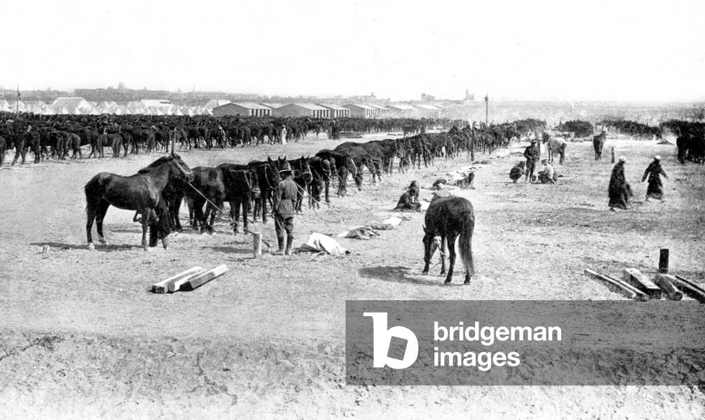 Australian cavalry soldiers remount depot at Abbassia, near Cairo Egypt during the great war