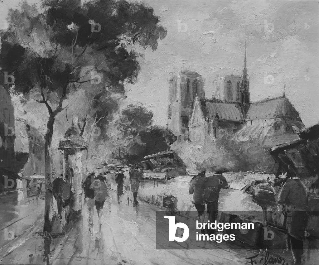 The books on the docks of the Seine Notre Dames by F. Claves