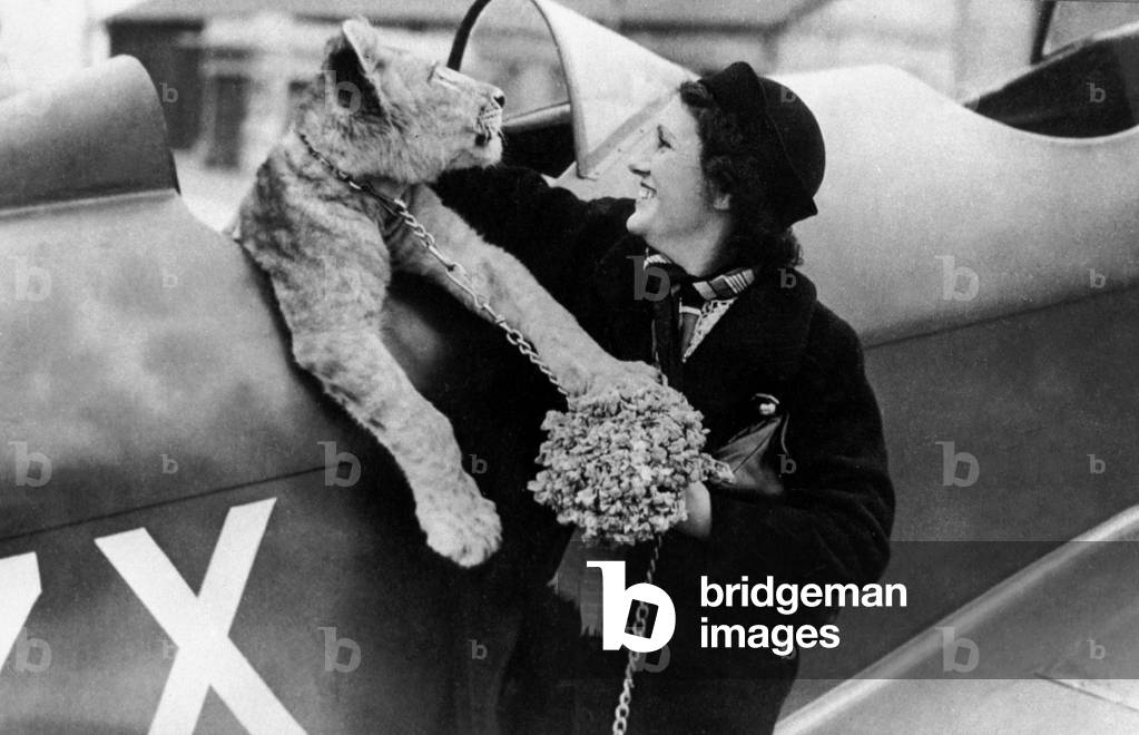 Maryse Bastie (1898-1952) French woman pilot here with lioness in her plane in 1938