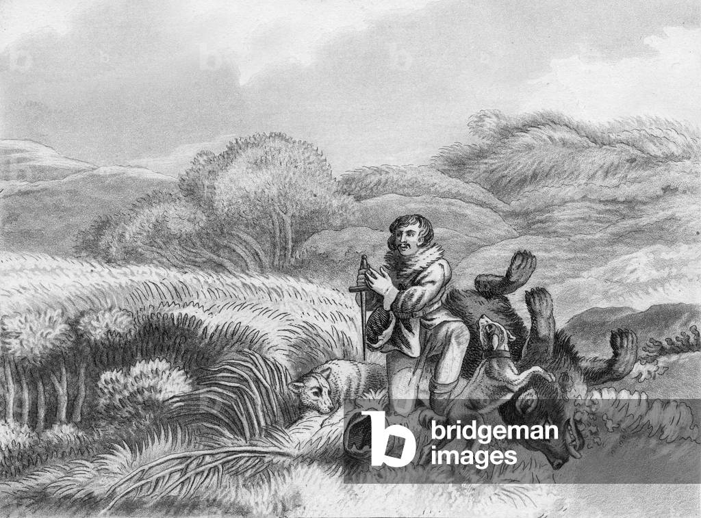 brown bear hunt, engraving 19th century