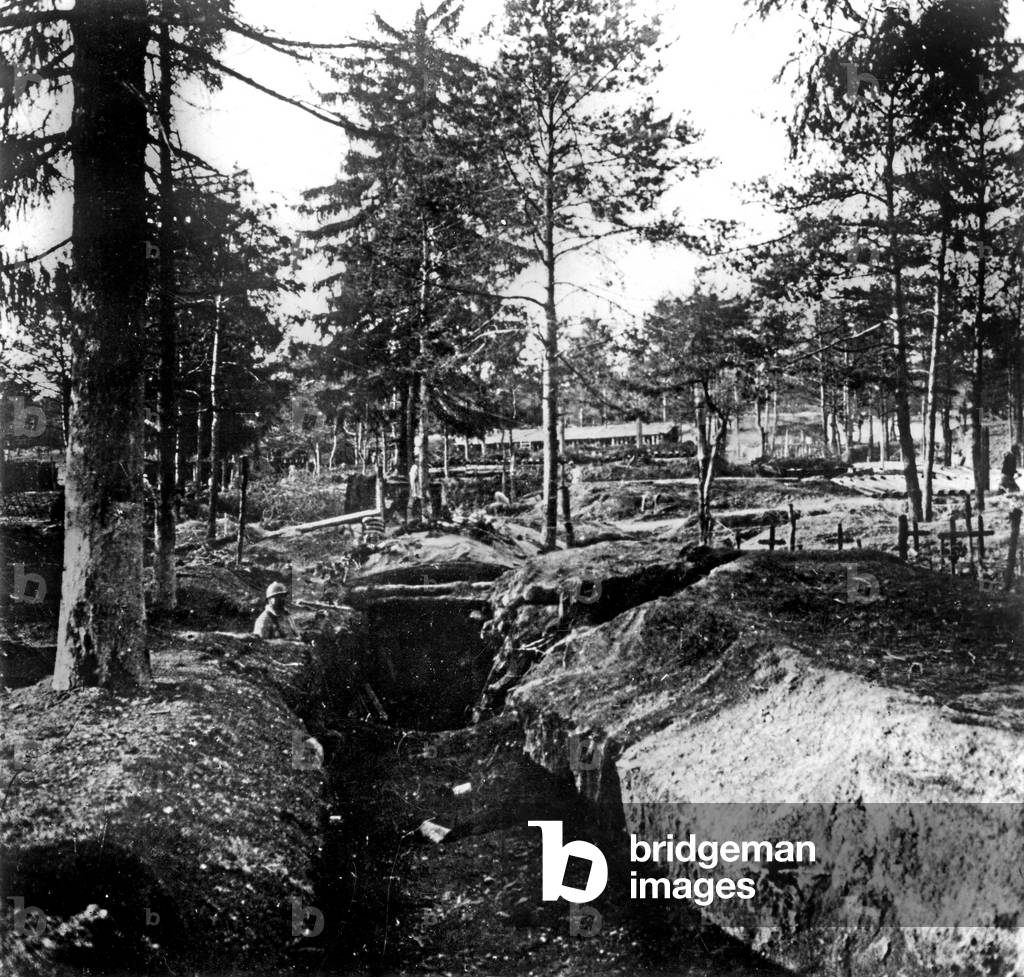 Trench in Bois le Pretre near Pont a Mousson (Lorraine) 1915
