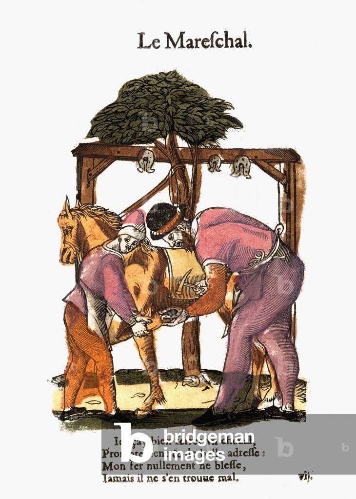 The farrier, engraving, 16th century