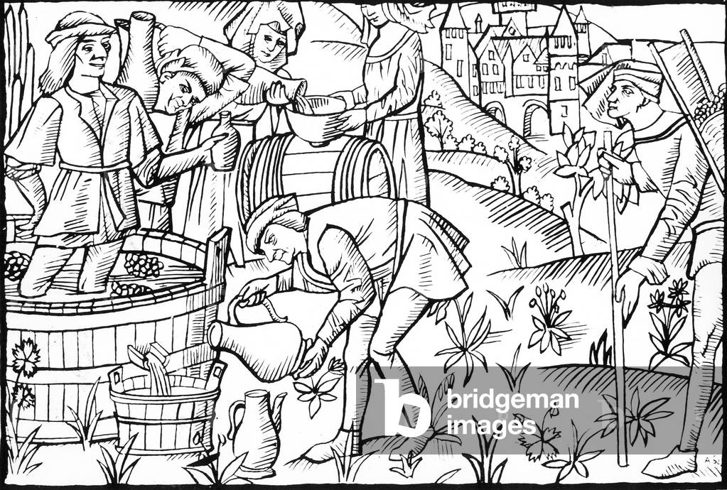 Grape harvest : a man is bringing bunch of grapes in a basket, put them in a tub, a man squash them, liquid is put in barrel, engraving, late 5th century