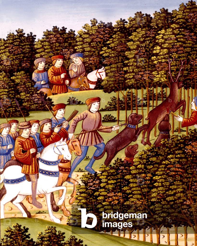 Illumination representing a scene of stag hunting, 15th century, from a French manuscript