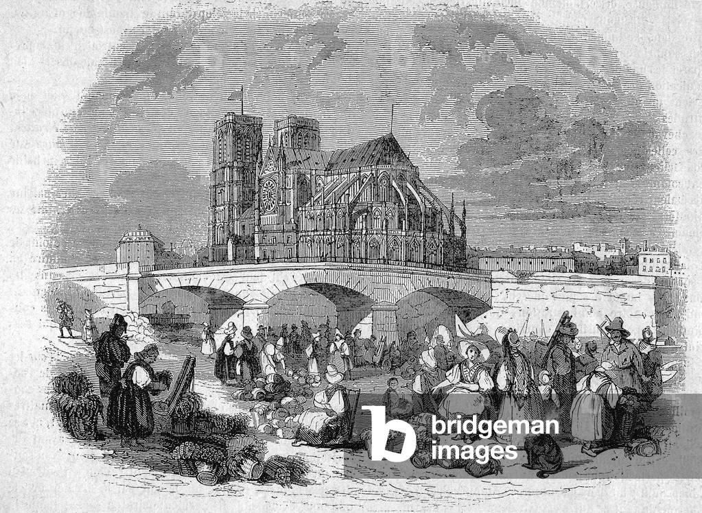 Banks of the river Seine in Paris : View of the fruits market on Tournelle dock in the 19th century , in the background is the Notre Dame cathedral, engraving
