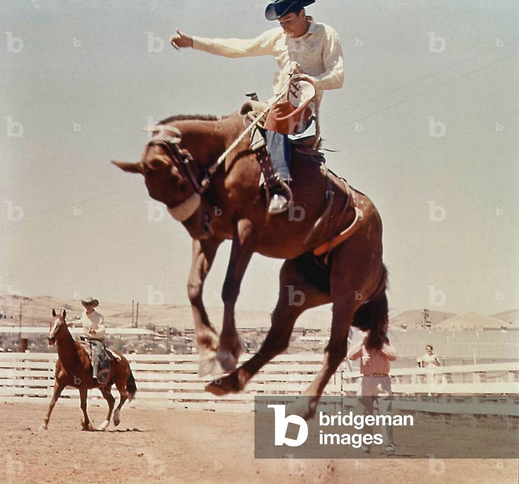 Cowboy at a Rodeo, Winnemucca, Nevada, c.1965 (photo)