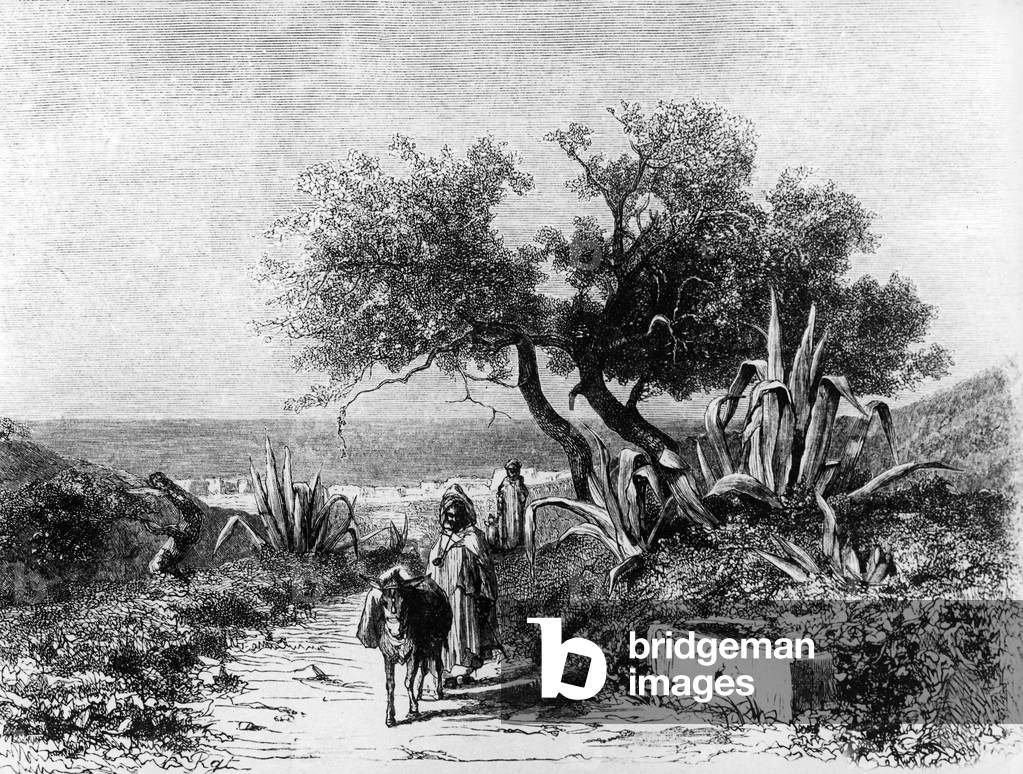 View from Bab El Oued gate in Algiers around 1877, engraving
