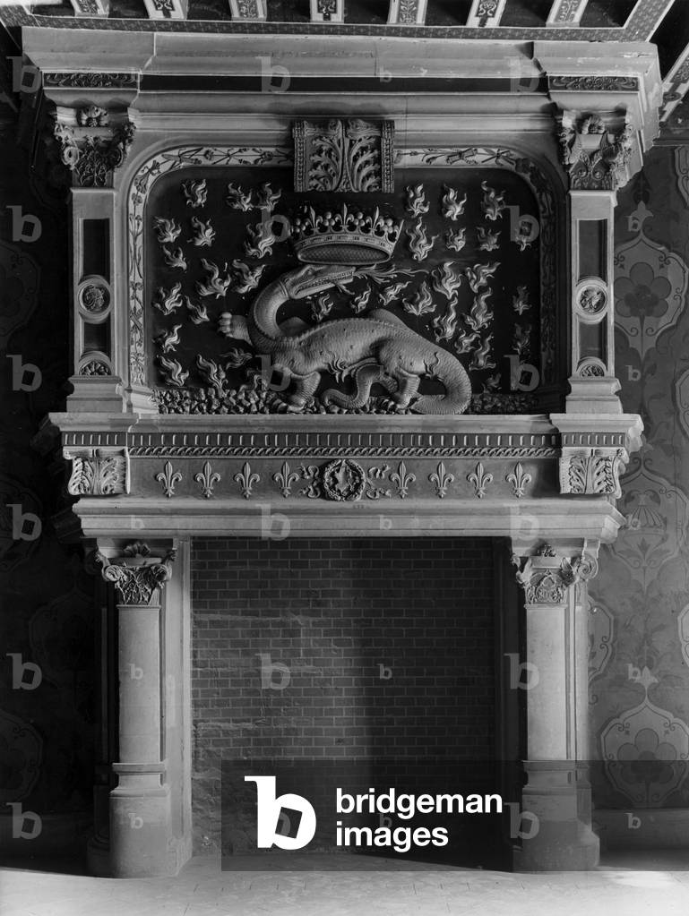 Blois castle (France) : fireplace with emblem of French king Francois 1st : salamander