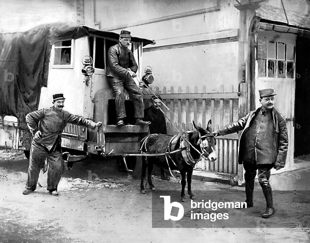 donkey used to pull carts to stand in for horses sent to the front during ww1 c. 1916