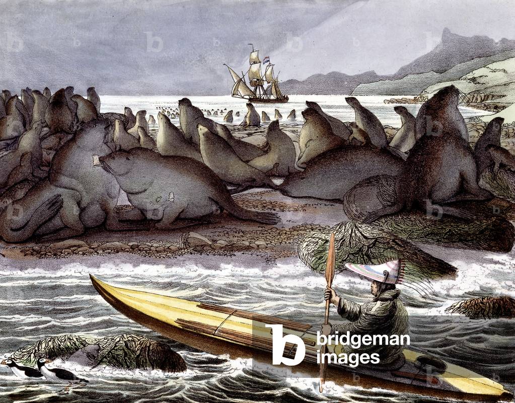 View of Saint Paul island in the Kamtschatka sea in Russia, on the land are elephant seals, early 19th century engraving
