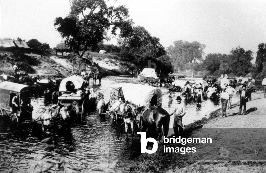 conquest of the Wild West, Usa : pioneers looking for gold crossing a river with covered waggons, c. 1860