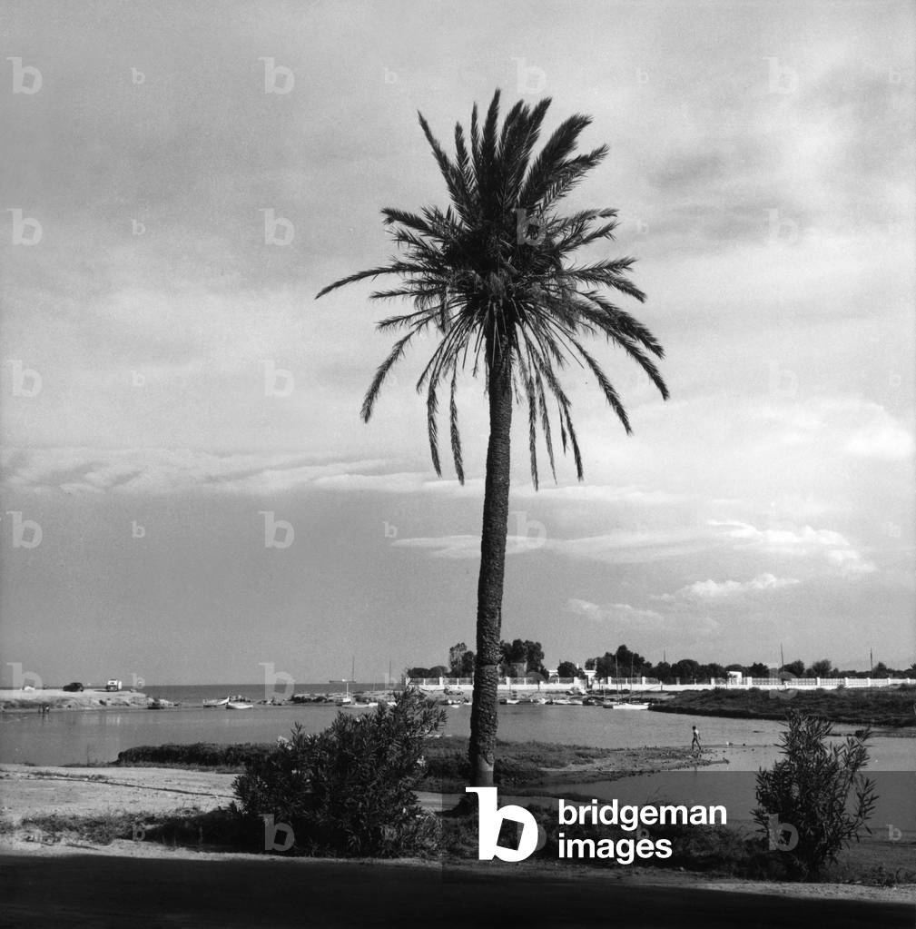 Tunisia : Carthage, c. 1950