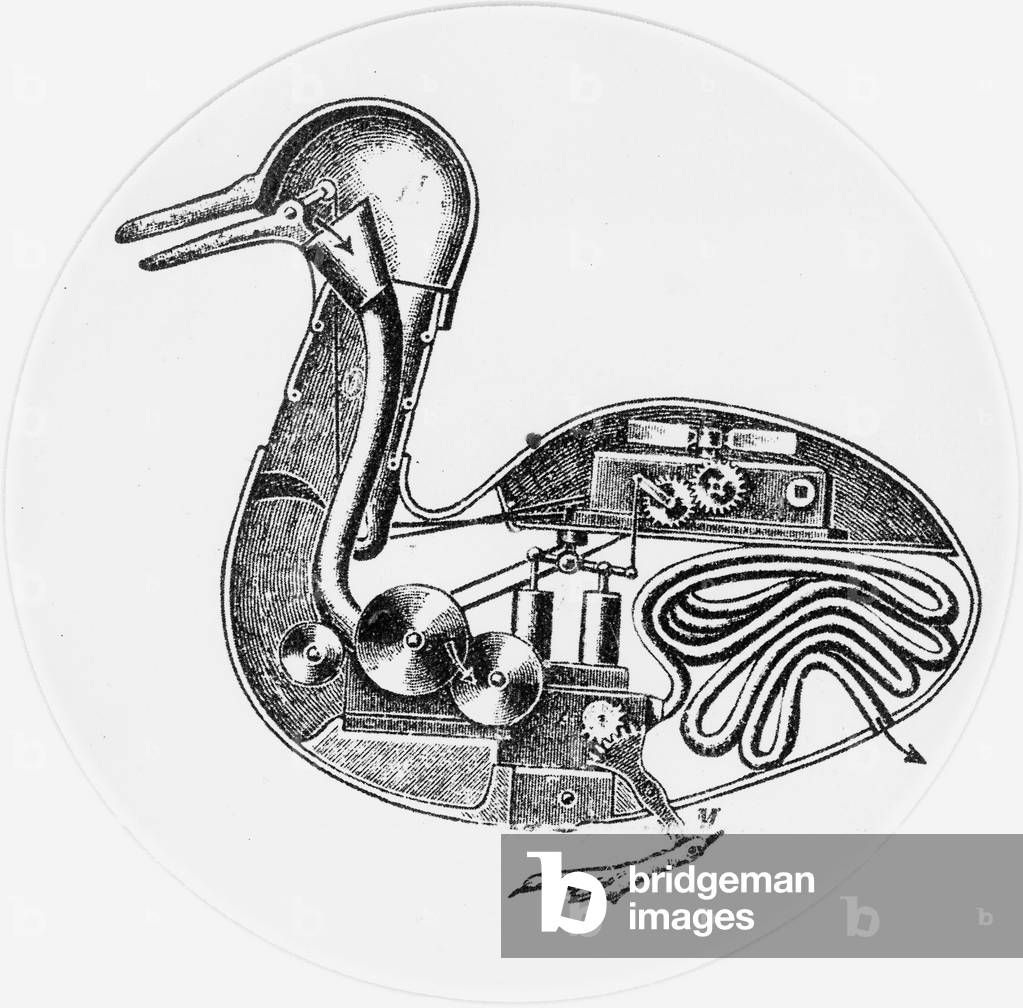 section View of French inventor Vaucanson 's mechanical digesting wood wooden duck invention. Robert Houdin repairing of the mechanical in 1845 showed it was a deception