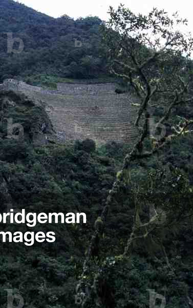 View of  terraced Inca ruins (photo)