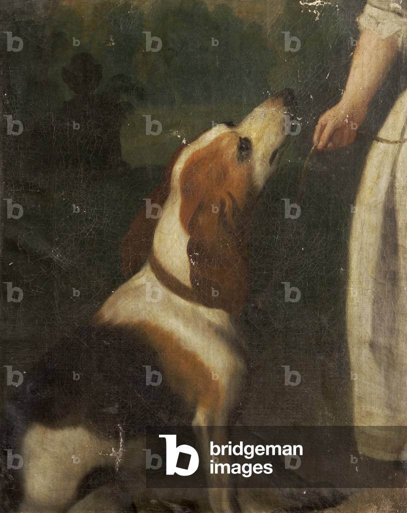 A Hound (oil on canvas)