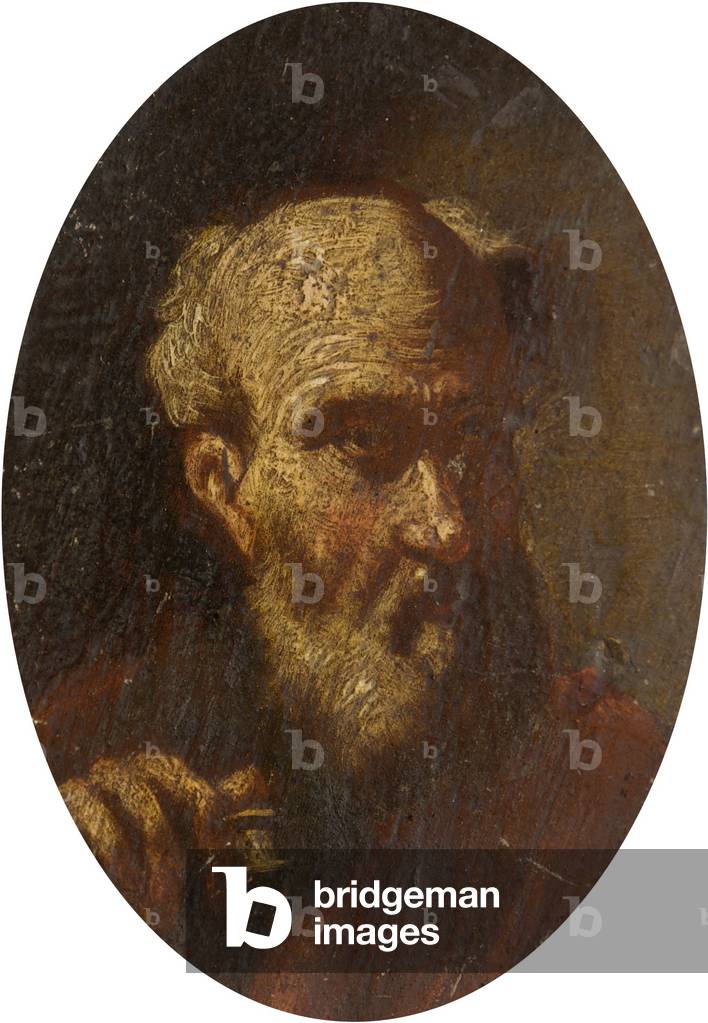 Head of an Old Man (oil on panel)