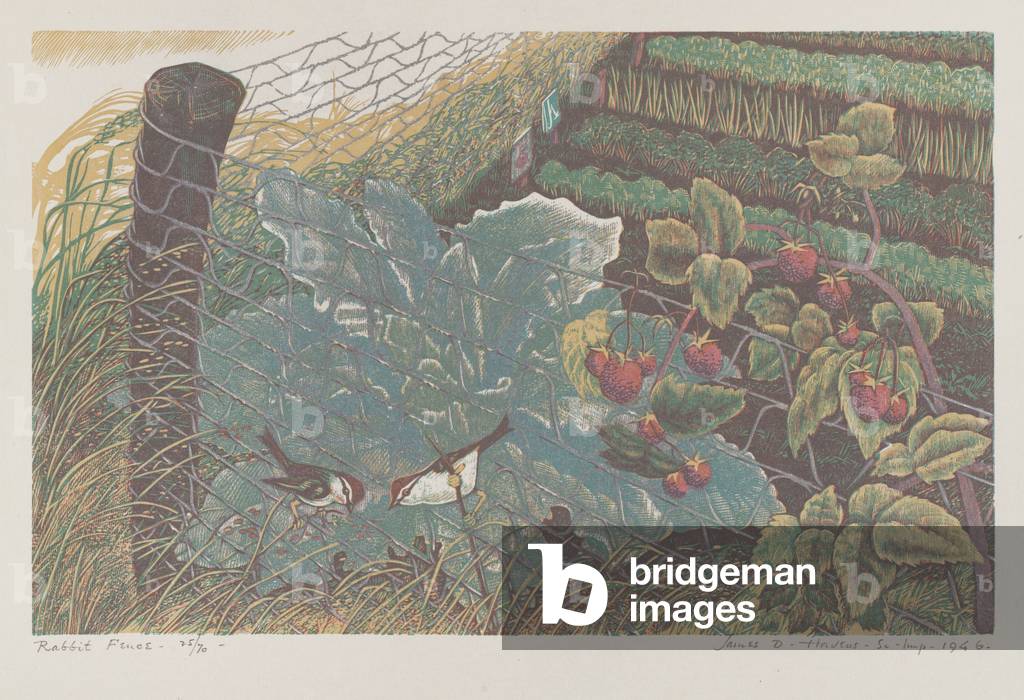 Rabbit Fence, 1946 (woodblock colour print)	