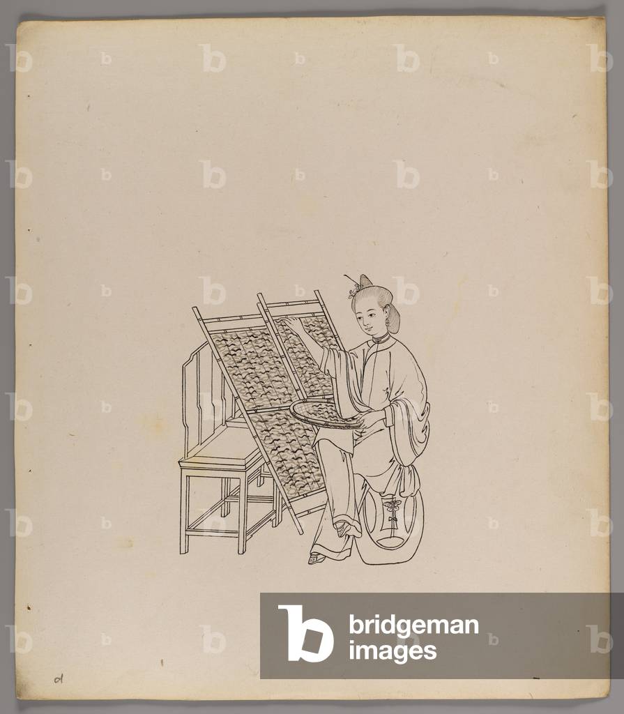 Album of separate leaves: 'Silk Cultivation and Production' (ink on paper) (see also 499288-303)
