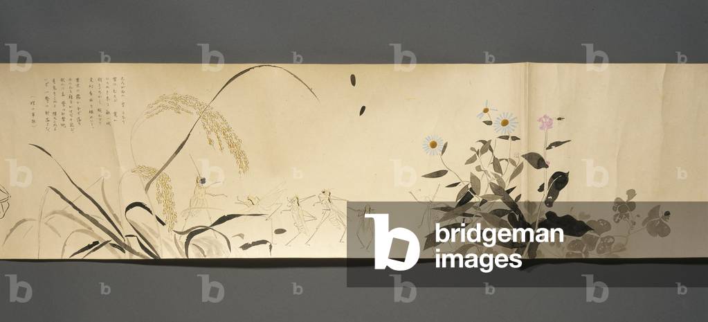 Wildlife Friends (Yasei no Tomo), Taisho Period, Taisho 7th Year, c.1918 (ink & w/c on wove paper decorated with mica)