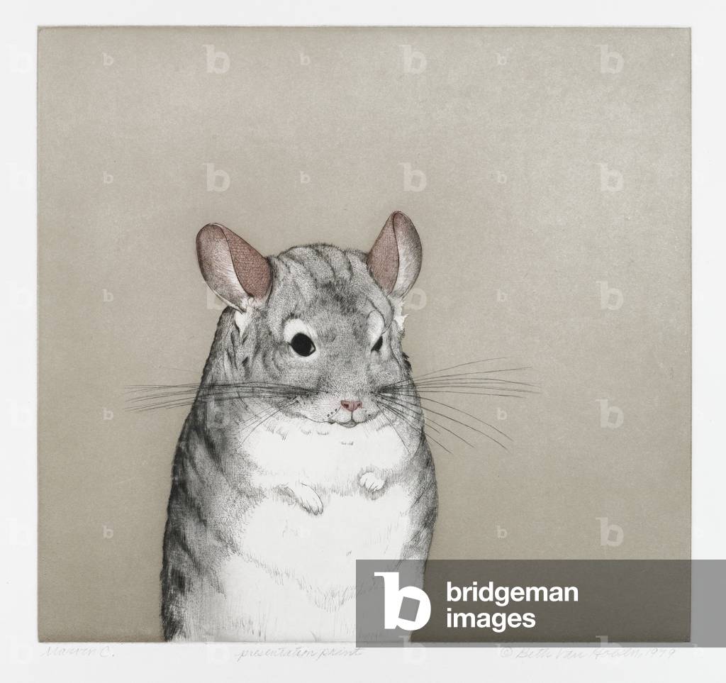 Marvin C, 1979 (intaglio in colour)
							
																		
																			
																			