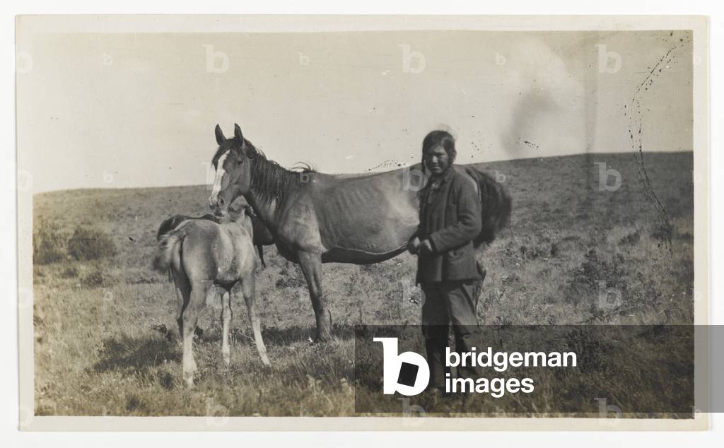 Untitled (Man Standing by a Mare and Two Foals), c.1900 (gelatin silver print)