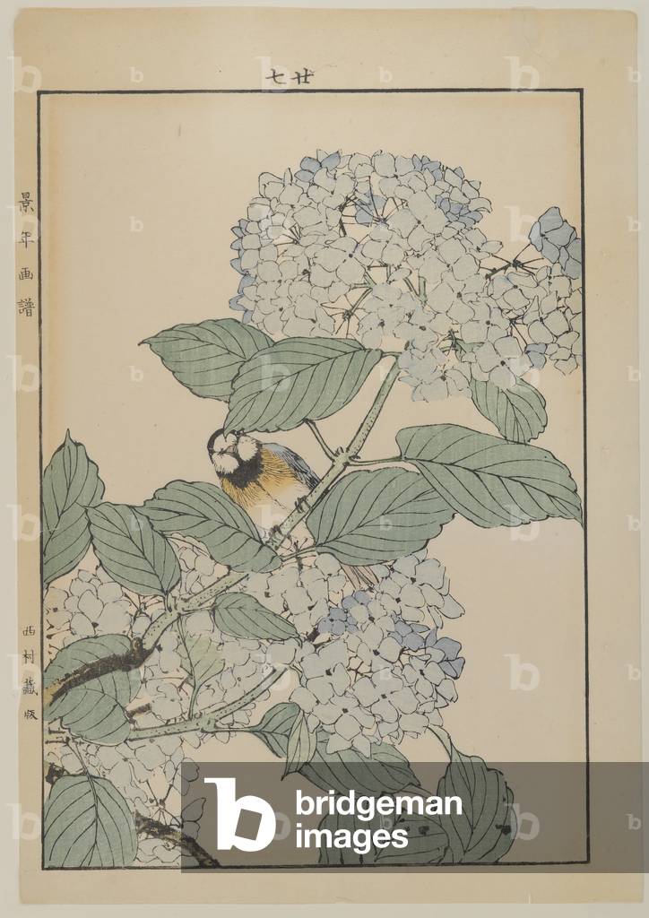 Bird with hydrangea, Meiji period, c.1868-1912 (colour woodblock print)
