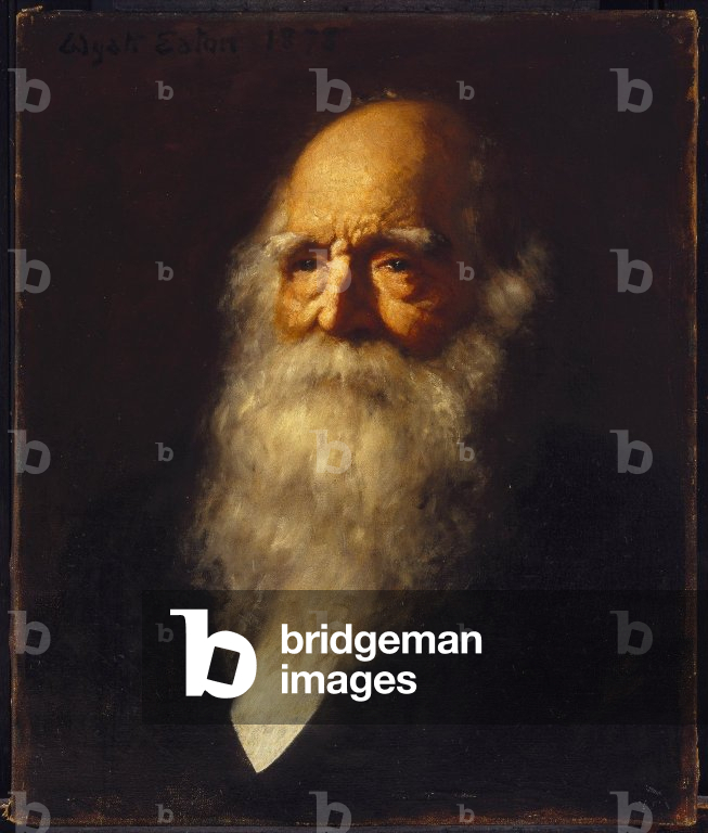 William Cullen Bryant, 1878 (oil on canvas)