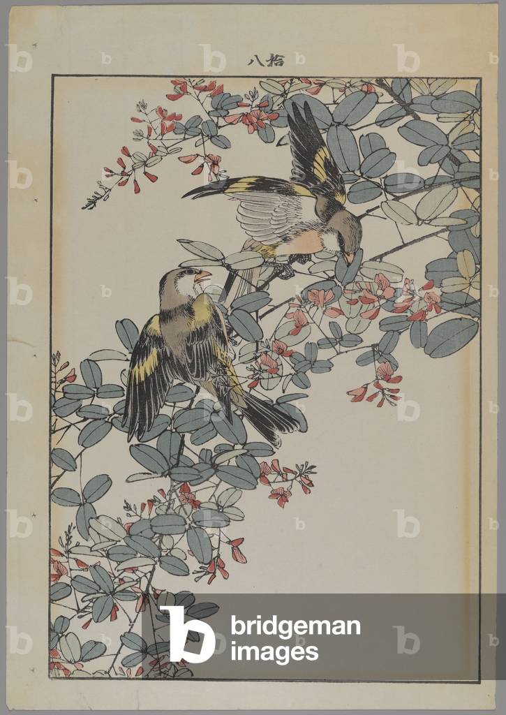 Two birds with pink flowers, Meiji period, c.1868-1912 (colour woodblock print)