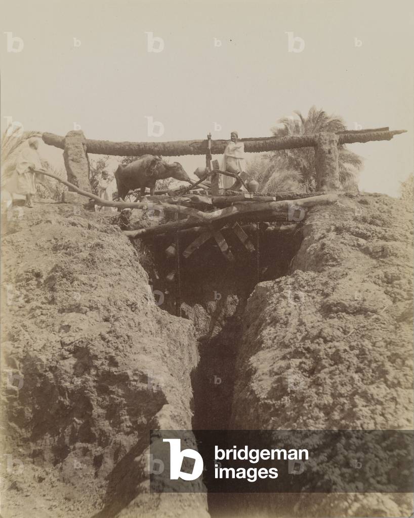 Sehaquieh, Egypt, 19th century (albumen silver print)