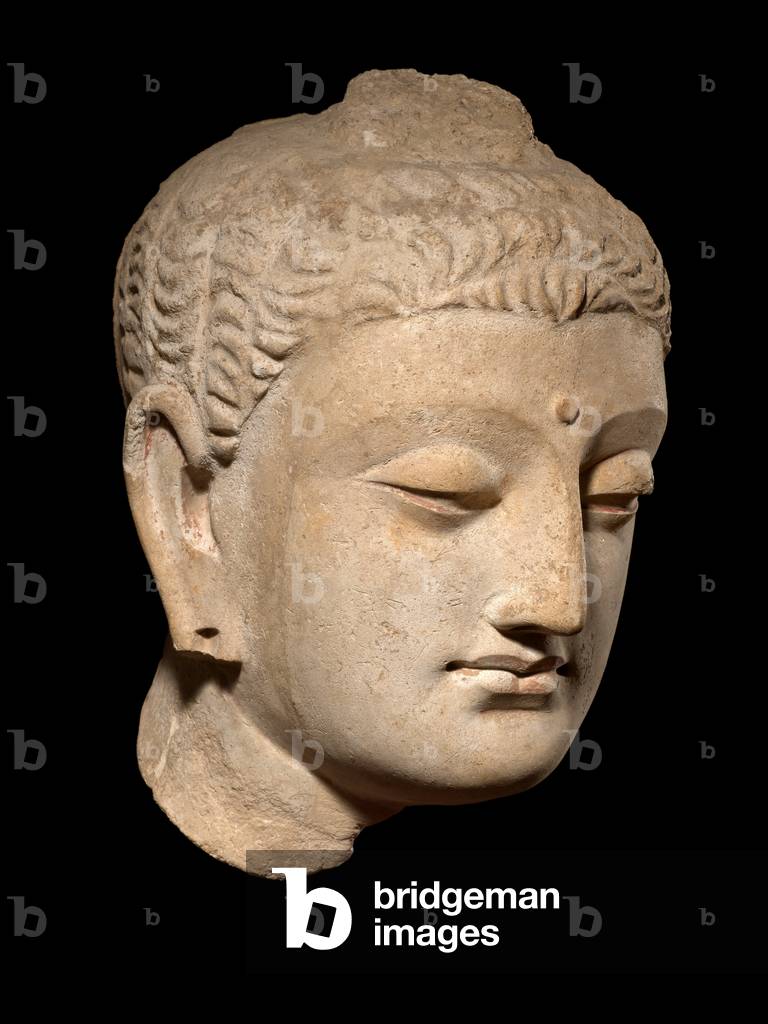 Buddha Head, Ghandhara (stucco)