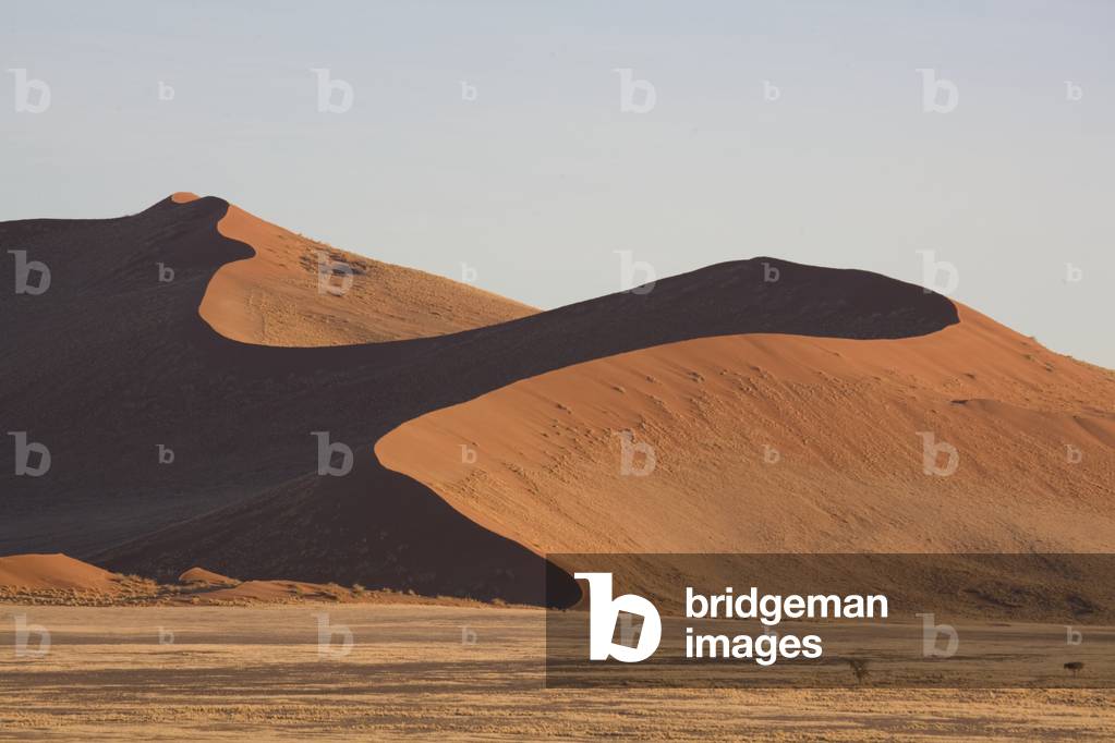 Duna di sabbia (foto)