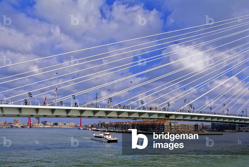 The Erasmus bridge in Rotterdam (Netherlands). Construction 1990-1996, Arcchitecte Van Berkel and Bos Architecten.
