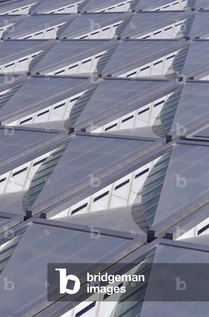 The Library of Alexandria in Egypt (Bibliotheca Alexandrina), Architect Snohetta, 2002.